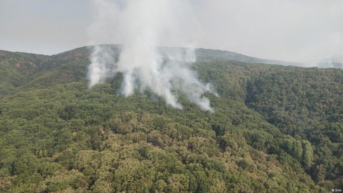 Aşırı sıcaklıklar birçok kentte orman yangınlarını tetikliyor (Foto: Arşiv)