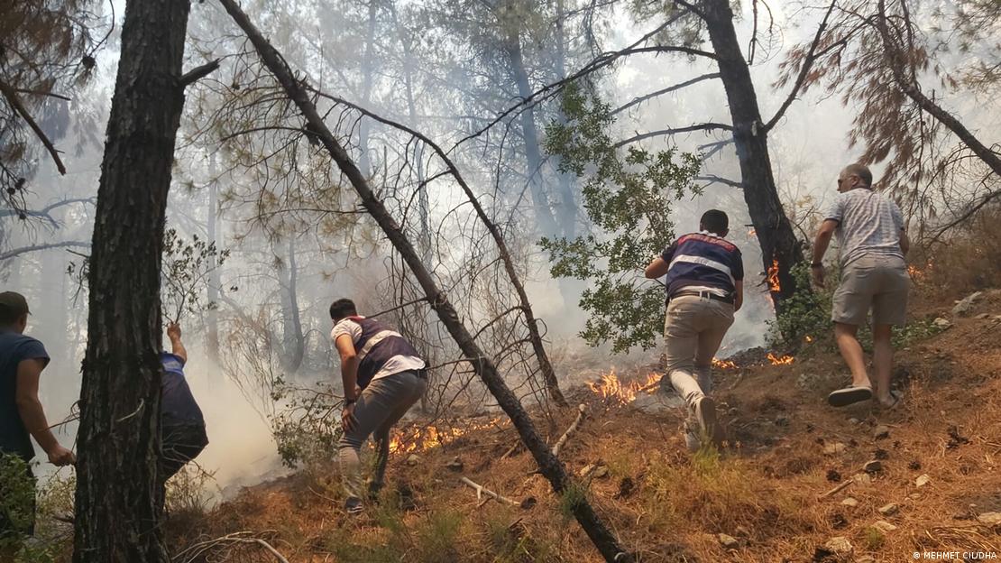 Muğla'nın Datça ilçesinde orman yangınına müdahale eden kişiler - (13.07.2022)