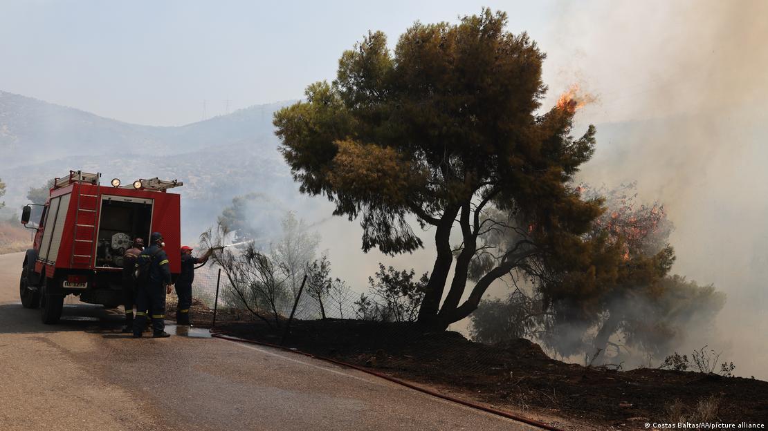 Yunanistan orman yangınlarıyla mücadele ediyor 